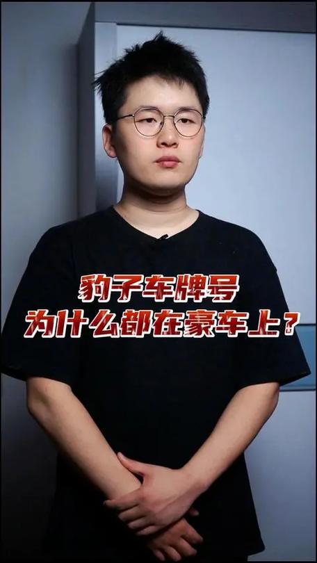 相划!喀什车牌豹子购买渠道!“那技它”-第3张图片-49车牌靓号 相划!喀什车牌豹子购买渠道!“那技它”-第3张图片-49车牌靓号