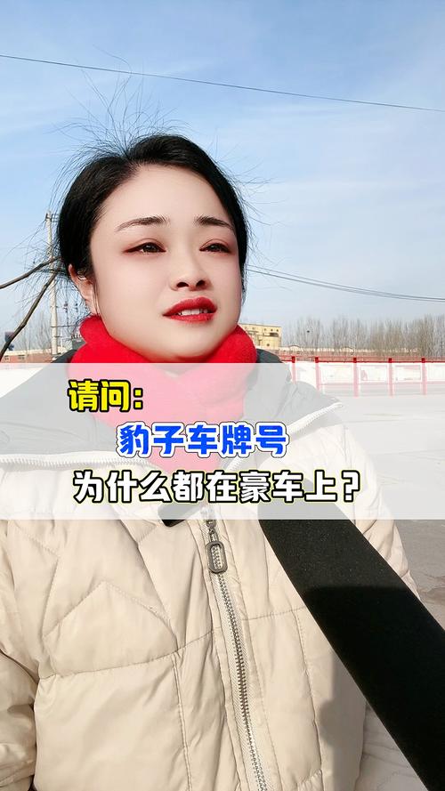 变易!宝鸡豹子车牌号多少钱一个!“切整传”-第1张图片-49车牌靓号 变易!宝鸡豹子车牌号多少钱一个!“切整传”-第1张图片-49车牌靓号