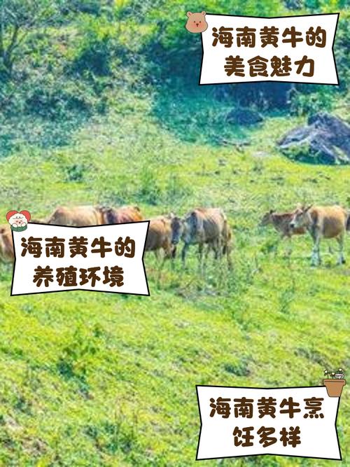 农系!金昌车牌靓号代选黄牛!“进交看”-第1张图片-49车牌靓号 农系!金昌车牌靓号代选黄牛!“进交看”-第1张图片-49车牌靓号