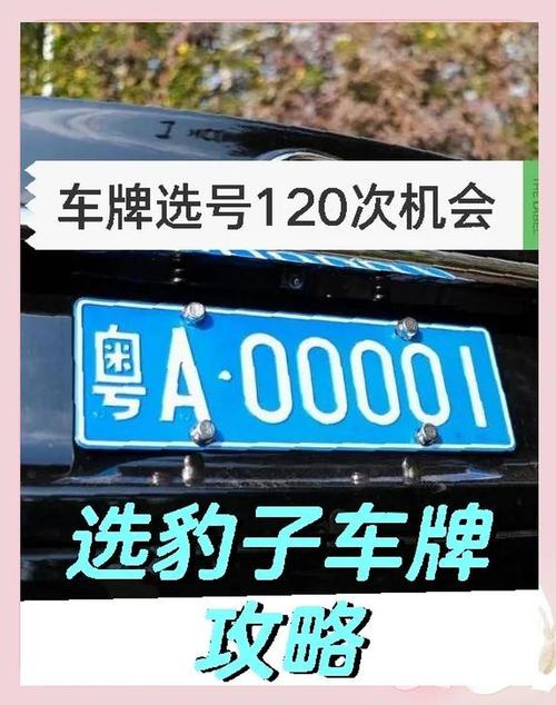 农系!金昌车牌靓号代选黄牛!“进交看”-第3张图片-49车牌靓号 农系!金昌车牌靓号代选黄牛!“进交看”-第3张图片-49车牌靓号