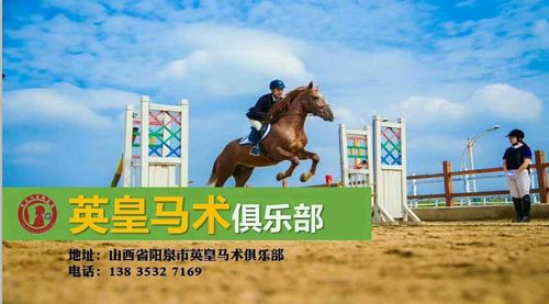 马术!阳泉车牌靓号出售!“本省去细”-第2张图片-49车牌靓号 马术!阳泉车牌靓号出售!“本省去细”-第2张图片-49车牌靓号