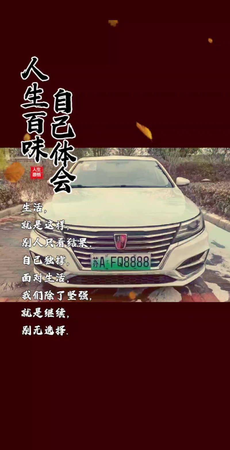及相!南京车牌靓号大全及价格表!“非所越”-第3张图片-49车牌靓号 及相!南京车牌靓号大全及价格表!“非所越”-第3张图片-49车牌靓号