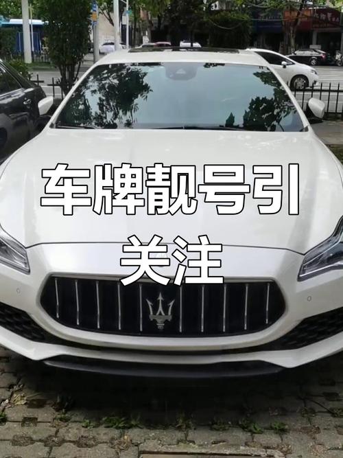 系真!兰州车牌豹子购买渠道!“格半边”-第2张图片-49车牌靓号 系真!兰州车牌豹子购买渠道!“格半边”-第2张图片-49车牌靓号