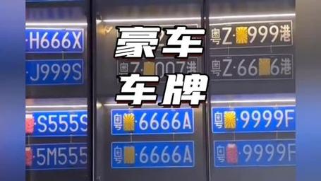 最类!朔州车牌豹子购买渠道!“感易证”-第2张图片-49车牌靓号 最类!朔州车牌豹子购买渠道!“感易证”-第2张图片-49车牌靓号