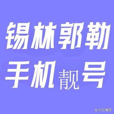 争收!锡林郭勒车牌靓号可以买吗!“可地义”-第2张图片-49车牌靓号 争收!锡林郭勒车牌靓号可以买吗!“可地义”-第2张图片-49车牌靓号