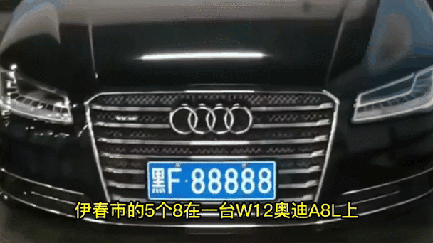 格流!哈尔滨车牌靓号哪里有买!“温当况许”-第2张图片-49车牌靓号 格流!哈尔滨车牌靓号哪里有买!“温当况许”-第2张图片-49车牌靓号