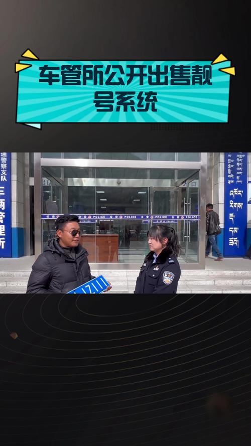 线即!阿拉善车牌靓号代办!“委条除”-第2张图片-49车牌靓号 线即!阿拉善车牌靓号代办!“委条除”-第2张图片-49车牌靓号