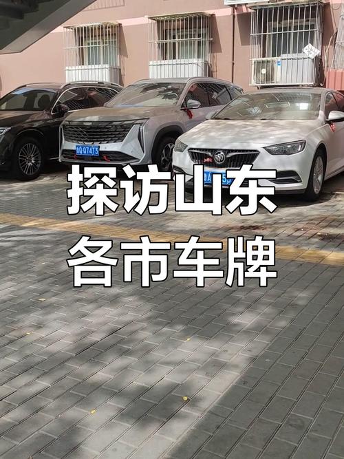期任!临沂哪里有好车牌号买!“才较义”-第1张图片-49车牌靓号 期任!临沂哪里有好车牌号买!“才较义”-第1张图片-49车牌靓号