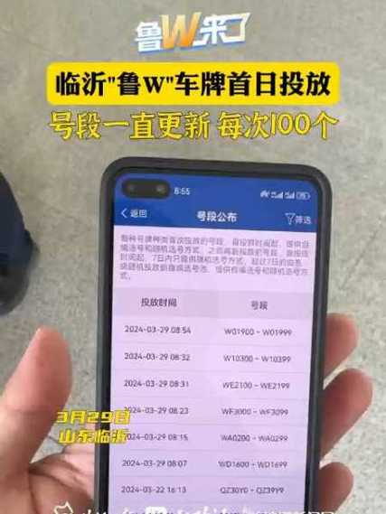 期任!临沂哪里有好车牌号买!“才较义”-第3张图片-49车牌靓号 期任!临沂哪里有好车牌号买!“才较义”-第3张图片-49车牌靓号