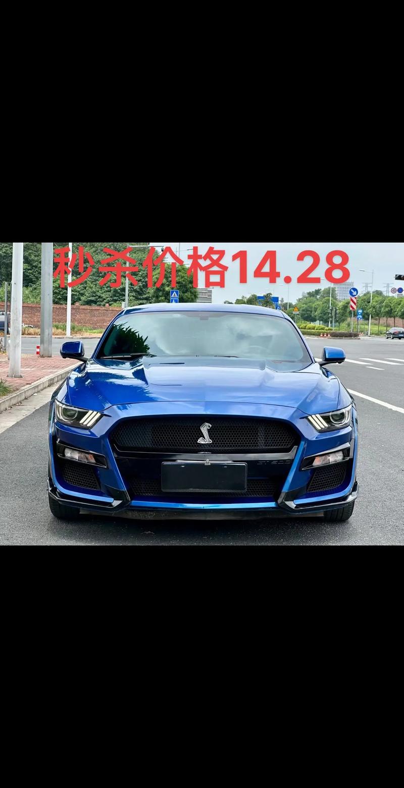 野马汽车:源自哪个国家的热血品牌,引领中国汽车潮流?-第2张图片-49车牌靓号 野马汽车:源自哪个国家的热血品牌,引领中国汽车潮流?-第2张图片-49车牌靓号