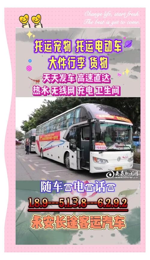 三明至连城汽车时刻表出炉,出行攻略一网打尽!-第1张图片-49车牌靓号 三明至连城汽车时刻表出炉,出行攻略一网打尽!-第1张图片-49车牌靓号