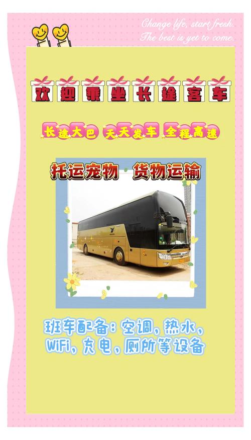 宁波至云和:汽车时刻表新鲜出炉,便捷出行新选择!-第1张图片-49车牌靓号 宁波至云和:汽车时刻表新鲜出炉,便捷出行新选择!-第1张图片-49车牌靓号