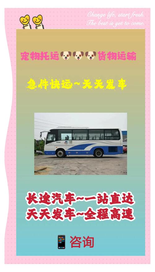 周口市汽车站电话速查:出行必备,一键通达!-第1张图片-49车牌靓号 周口市汽车站电话速查:出行必备,一键通达!-第1张图片-49车牌靓号