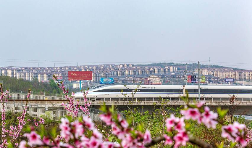 上海南站至温岭汽车站:便捷出行,畅享江南风情之旅-第1张图片-49车牌靓号 上海南站至温岭汽车站:便捷出行,畅享江南风情之旅-第1张图片-49车牌靓号