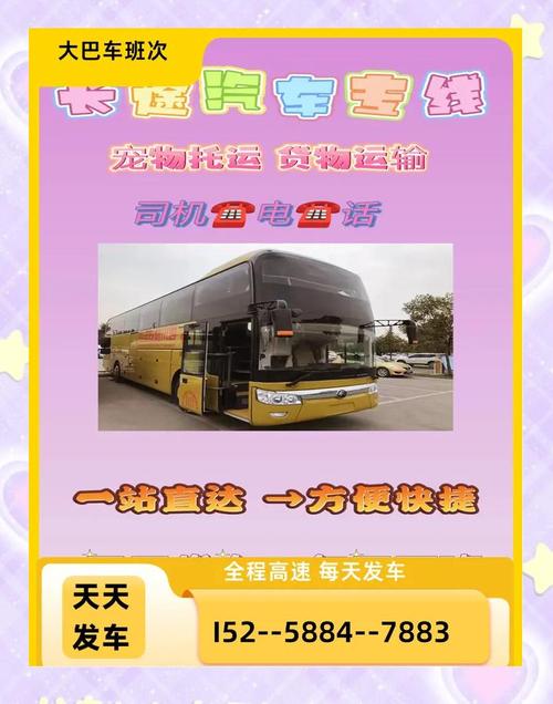 平湖至上虞汽车时刻表出炉,出行新选择!-第2张图片-49车牌靓号 平湖至上虞汽车时刻表出炉,出行新选择!-第2张图片-49车牌靓号
