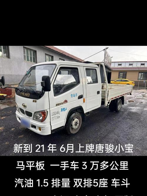 唐骏电动汽车:能否轻松上牌,成为市场新宠?-第1张图片-49车牌靓号 唐骏电动汽车:能否轻松上牌,成为市场新宠?-第1张图片-49车牌靓号
