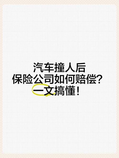 全险汽车撞人致死,保险公司赔偿多少?法律如何界定?-第1张图片-49车牌靓号 全险汽车撞人致死,保险公司赔偿多少?法律如何界定?-第1张图片-49车牌靓号