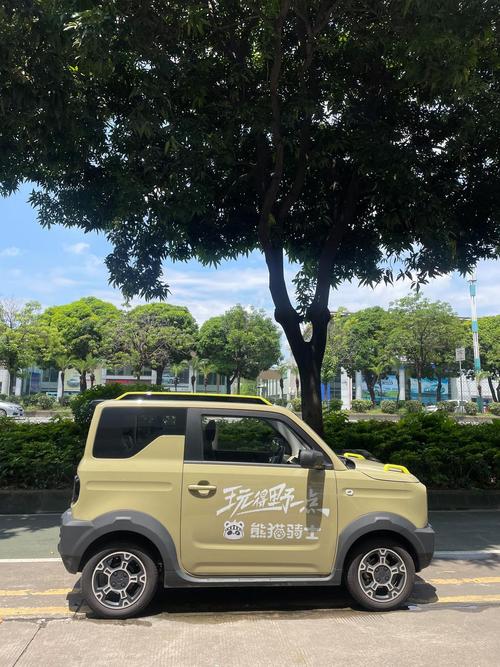 吉利熊猫电动汽车价格亲民,万元级电动小车备受关注-第2张图片-49车牌靓号 吉利熊猫电动汽车价格亲民,万元级电动小车备受关注-第2张图片-49车牌靓号