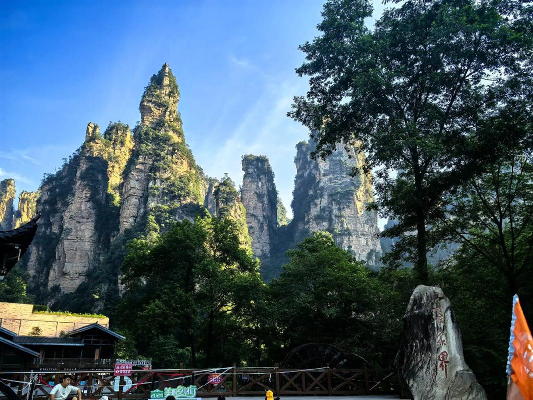 张家界中心汽车站直达国家森林公园,畅游自然仙境之旅!-第1张图片-49车牌靓号 张家界中心汽车站直达国家森林公园,畅游自然仙境之旅!-第1张图片-49车牌靓号